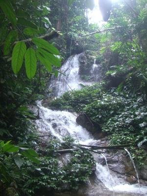 Waterfall inside the jungle