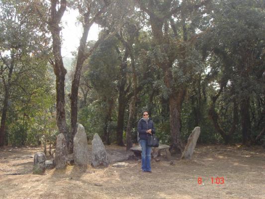 Stone monoliths at the Sacred Forest in Mawphlang
