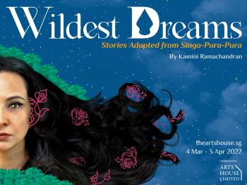 Wildest Dreams: Stories Adapted from Singa-Pura-Pura