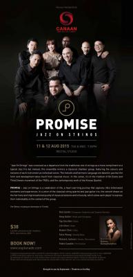 Promise – Jazz On Strings